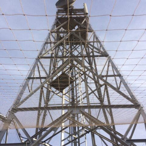 Instalación de Sistemas Antiaves (Industria)