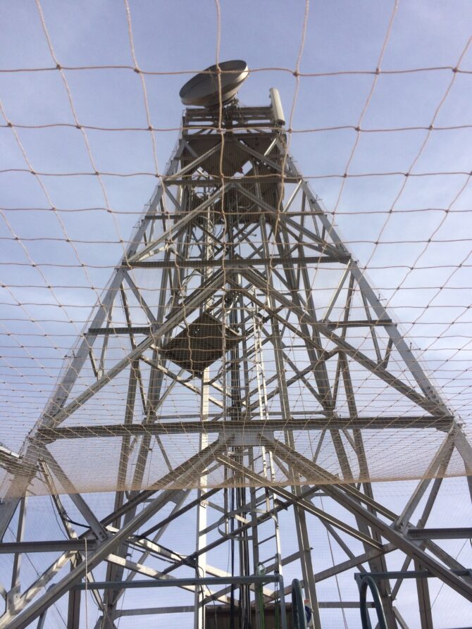 Instalación de Sistemas Antiaves (Industria)