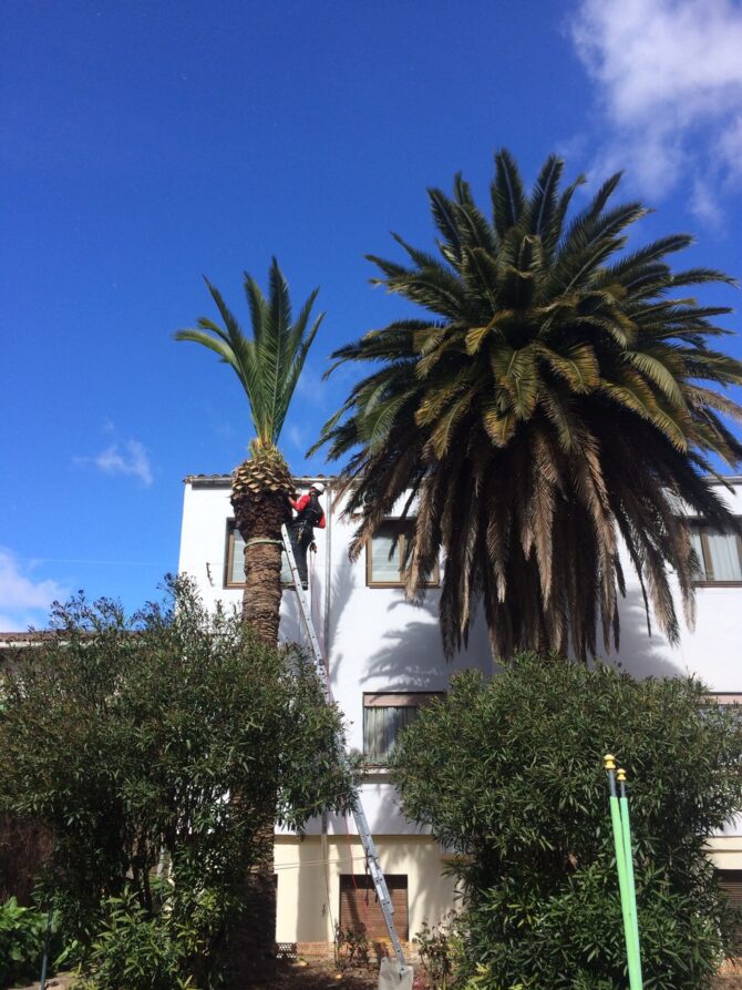 IMG-20150327-WA0002