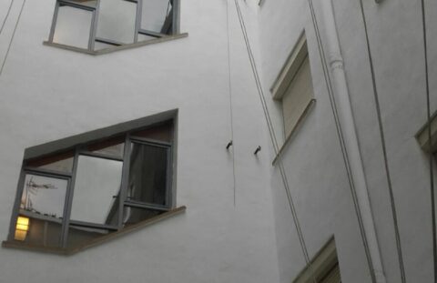 Reparación y Pintura de patios