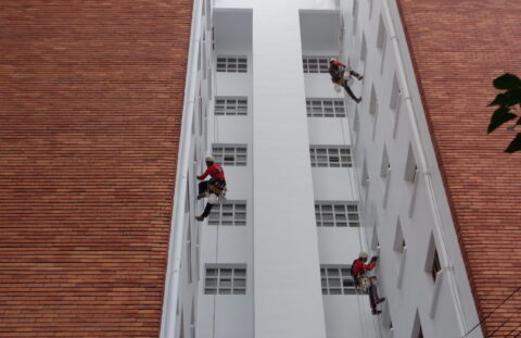 Reparación y Pintura de patios