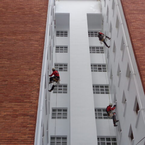 Reparación y Pintura de patios