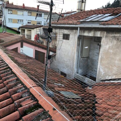 Instalación de Sistemas Antiaves