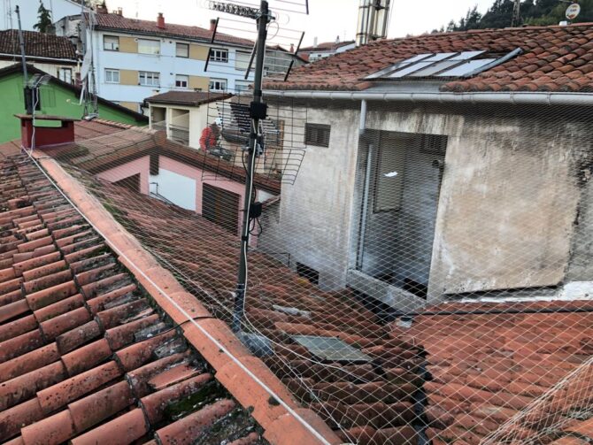 Instalación de Sistemas Antiaves