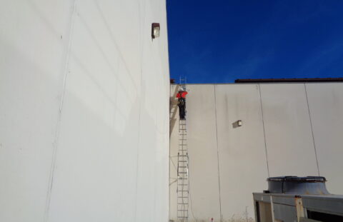 Instalación de Sistemas Antiaves (Industria)