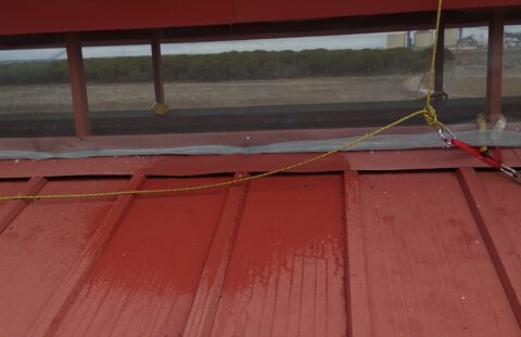 Instalación de Sistemas Antiaves, Trabajos en canales y Reparacion de filtraciones