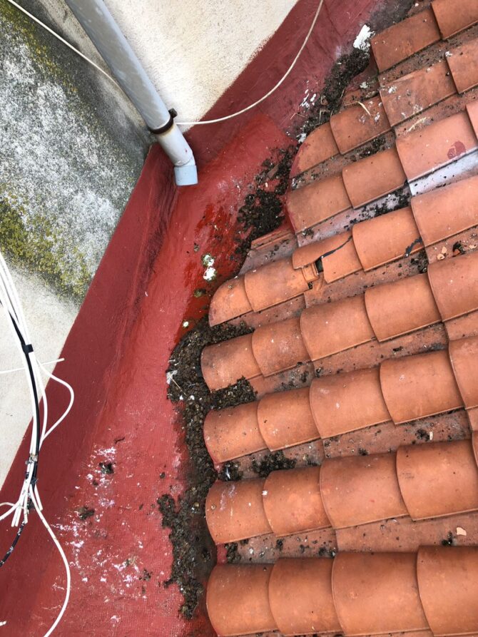 IMG-20180109-WA0058