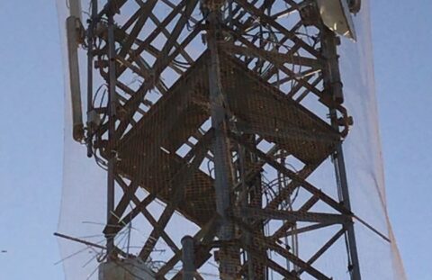 Instalación de Sistemas Antiaves (Redes)