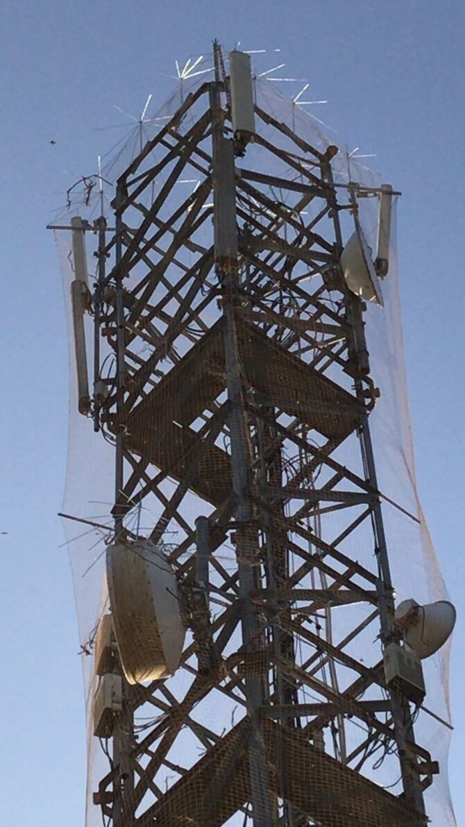 Instalación de Sistemas Antiaves (Redes)