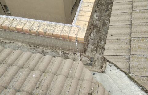 Instalación de Sistemas Antiáves (Redes y pinchos)